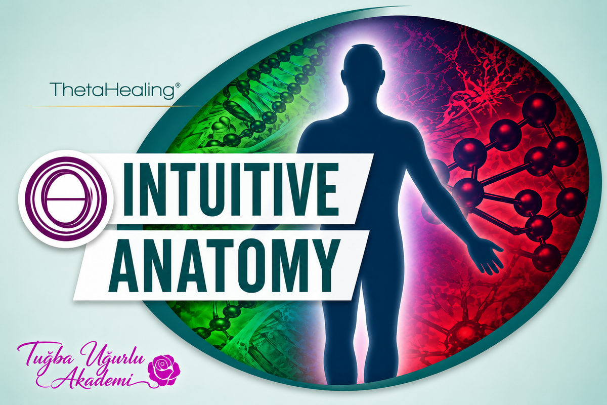 Intuitive Anatomy (Sezgisel Anatomi) seminer kapak görseli, insan silueti ve hücre desenleri